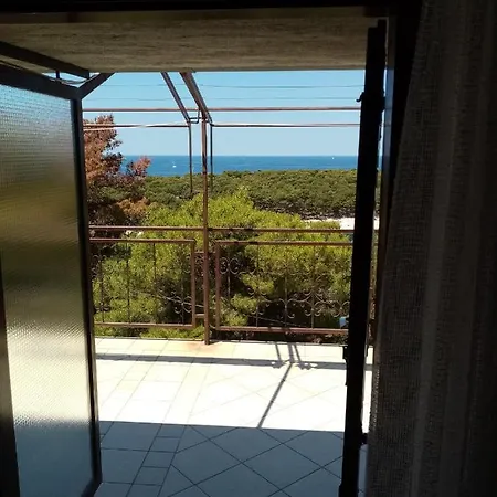 Soling Apartment *
